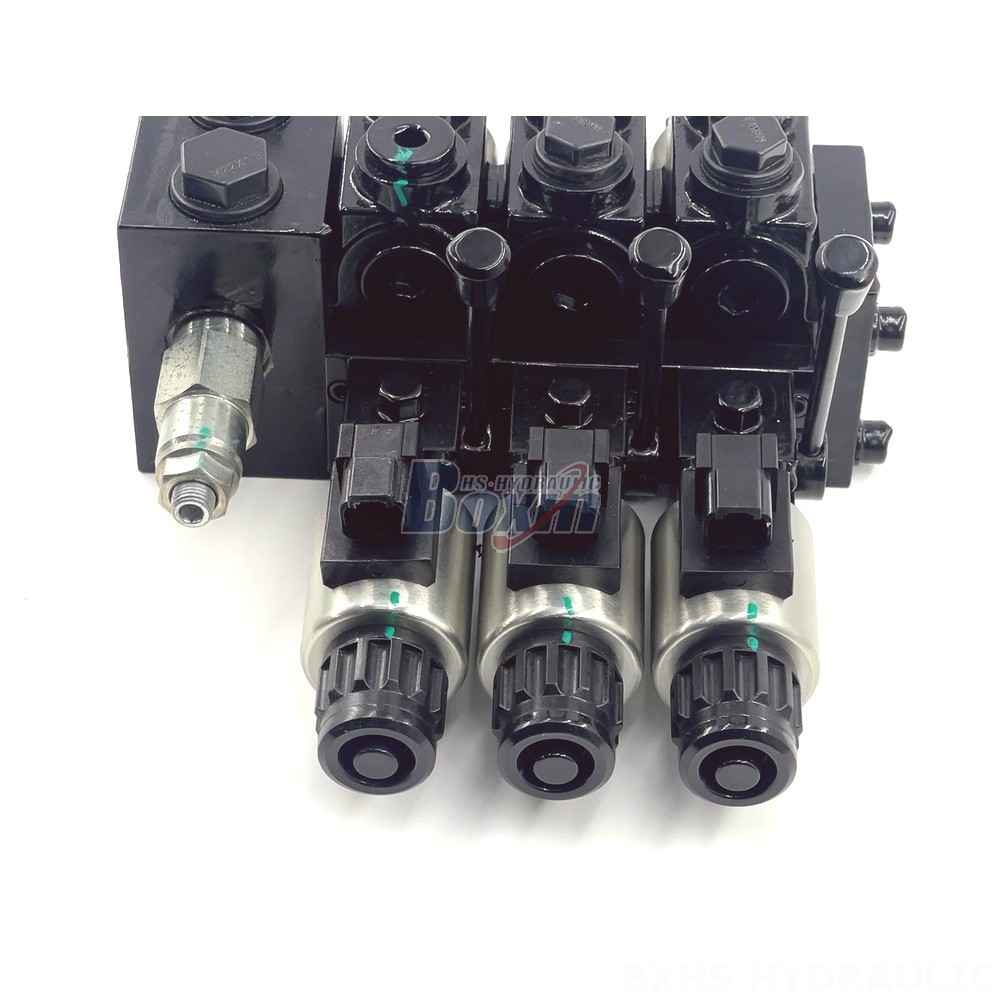 Your Brand, Our Expertise: Private Label Manufacturing of DCV58 Valves detail image